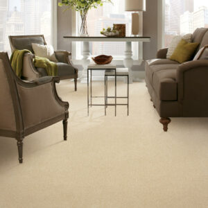 Carpet Flooring | Flemington Department Store