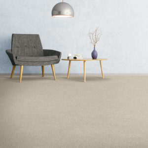 Carpet in living room | Flemington Department Store