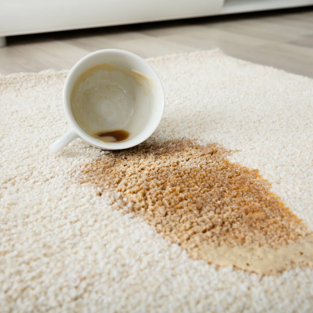 Time for a Professional Rug Cleaning | Flemington Department Store