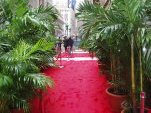 Event carpeting | Flemington Department Store