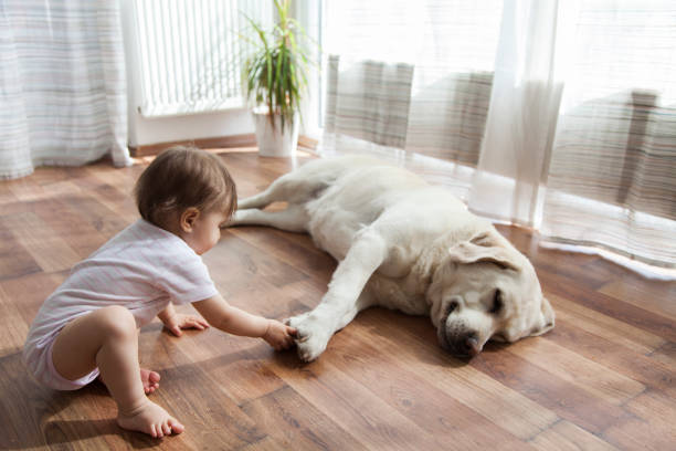 Kid playing with dog | Flemington Department Store