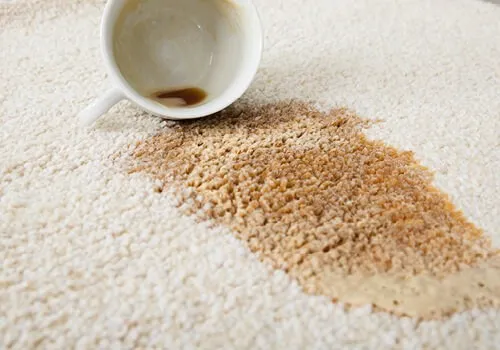 imgi_14_CarpetCleaning_Liquids