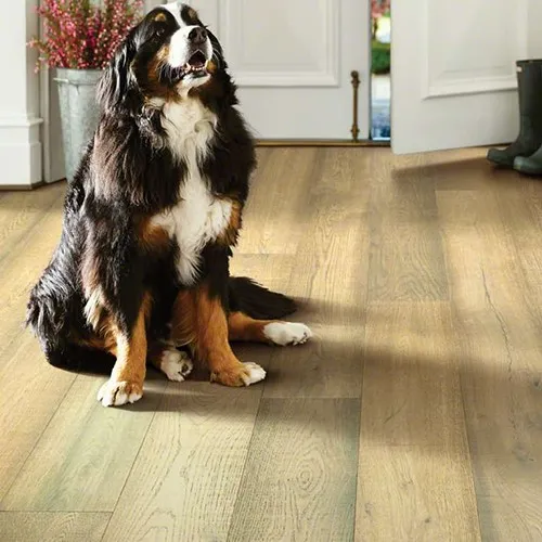 imgi_14_SF_FLOORTE_HARDWOOD_EXQUISITE_DOG imgi_14_SF_FLOORTE_HARDWOOD_EXQUISITE_DOG